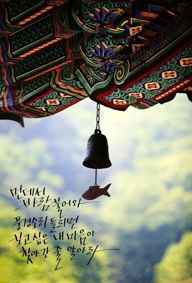 	덕암 칼럼 절대 늙지 마라