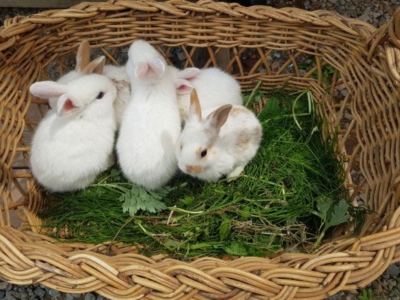 	3월을 보내며 4월을 기대하며