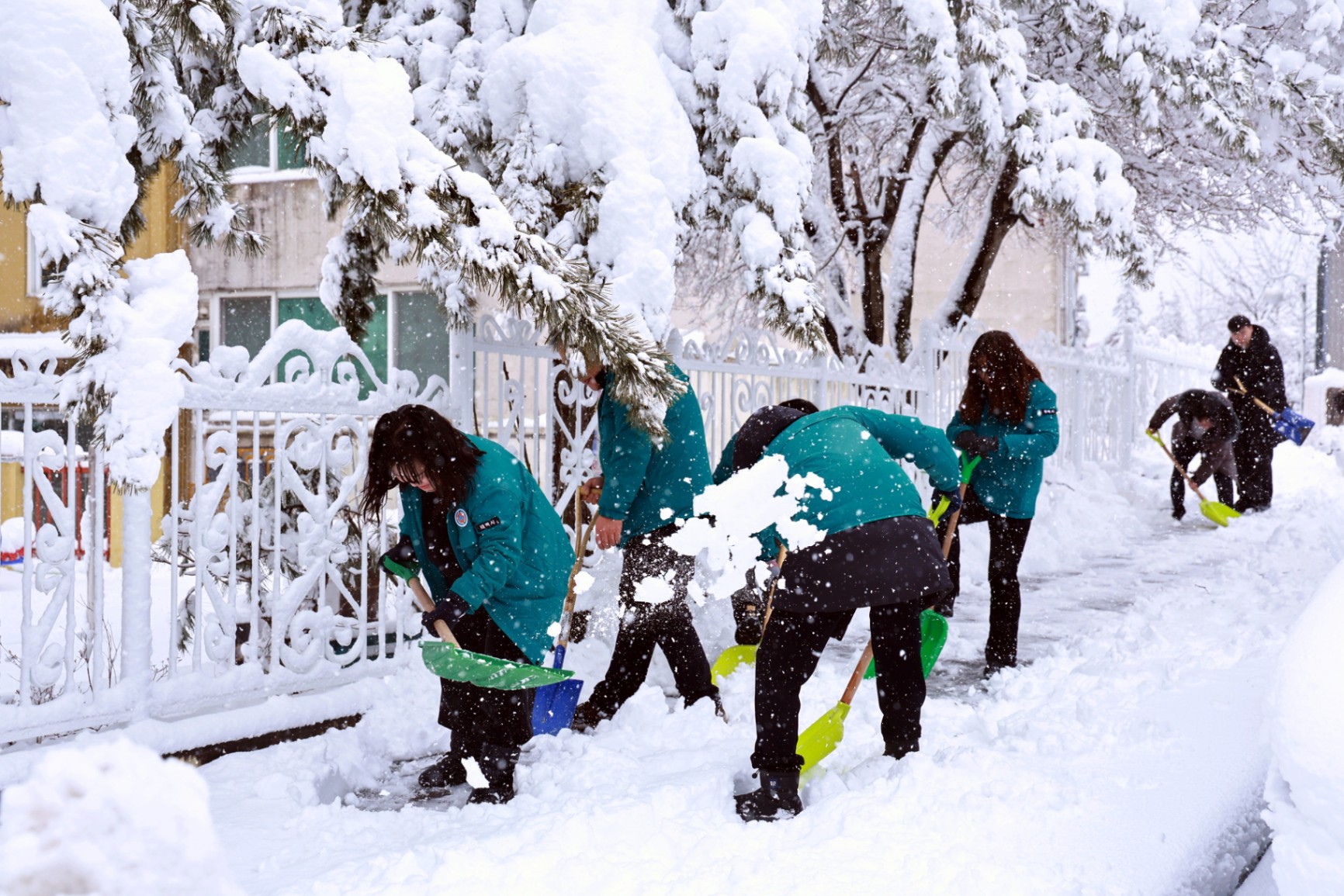 태백지역 폭설, 전 공무원 투입 제설 총력 대응 …도로·인도 열선 가동 효과 ‘톡톡 이미지 6