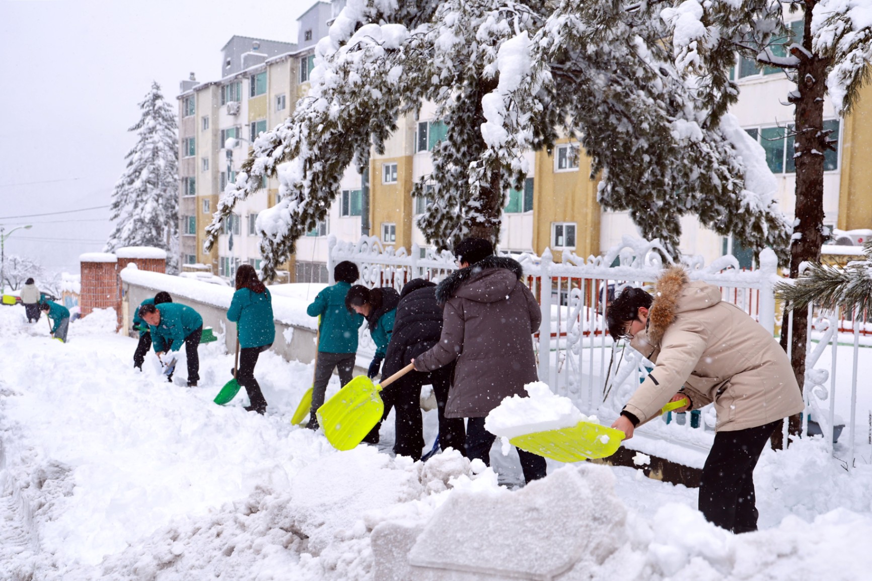 태백지역 폭설, 전 공무원 투입 제설 총력 대응 …도로·인도 열선 가동 효과 ‘톡톡