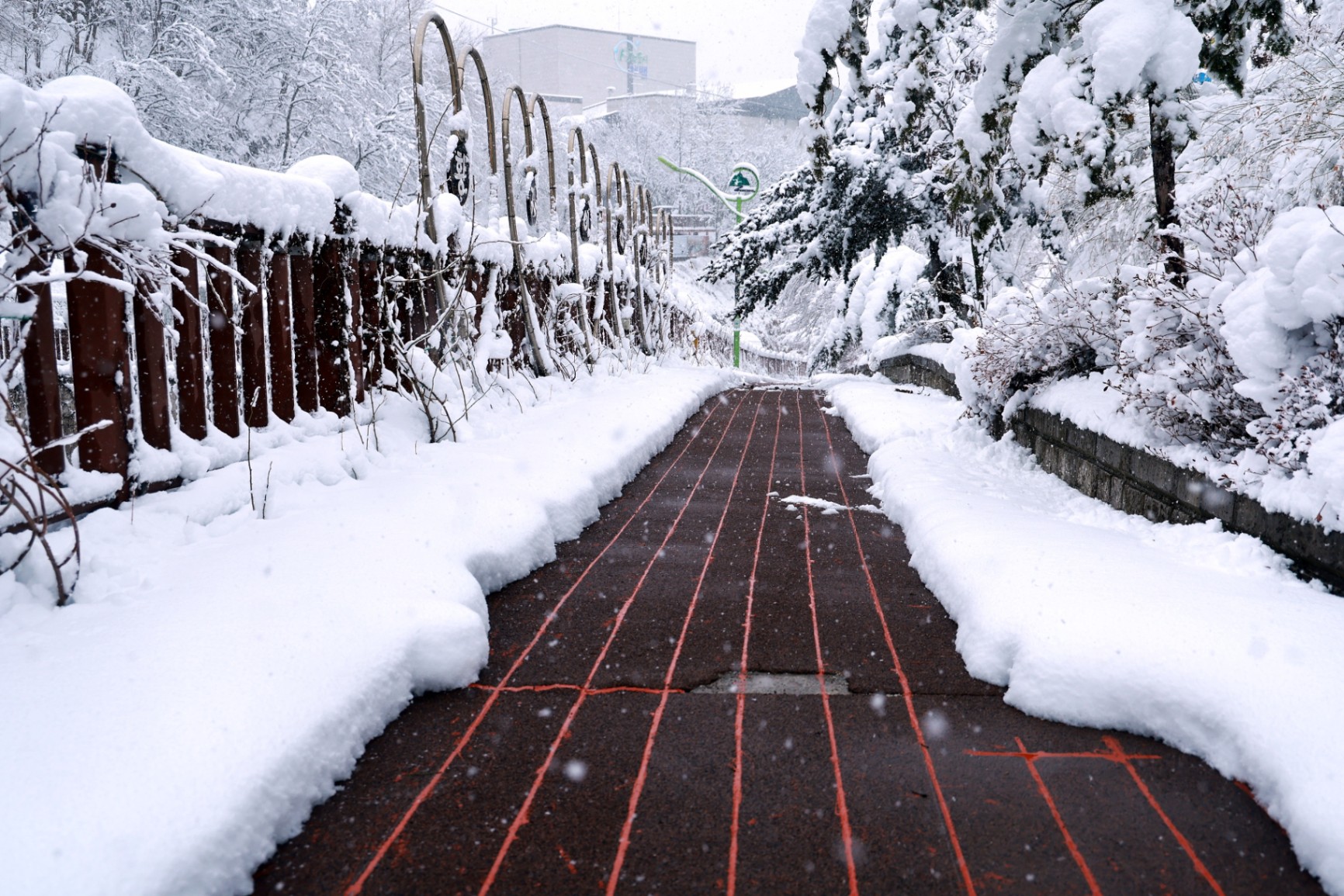 태백지역 폭설, 전 공무원 투입 제설 총력 대응 …도로·인도 열선 가동 효과 ‘톡톡 이미지 5