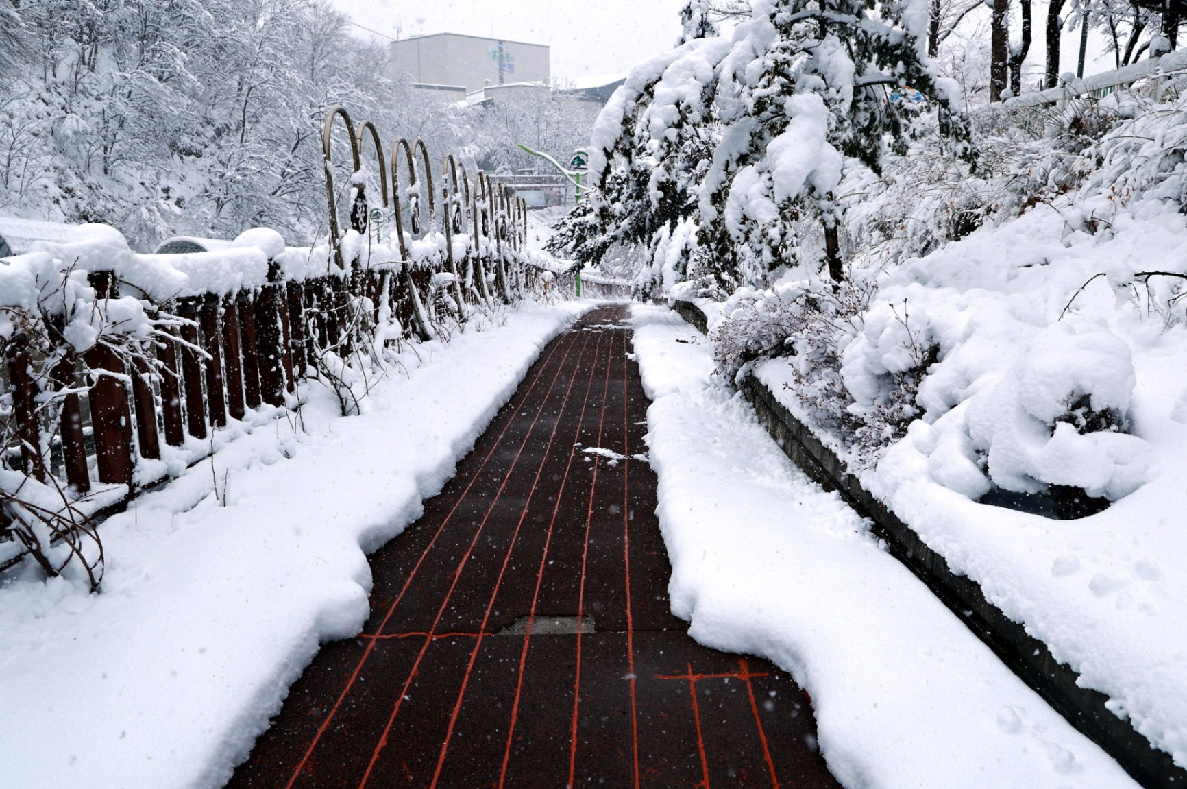 태백지역 폭설, 전 공무원 투입 제설 총력 대응 …도로·인도 열선 가동 효과 ‘톡톡 이미지 4